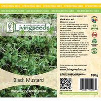 Living Seeds Black Mustard Sprouting & Microgreen Seeds 